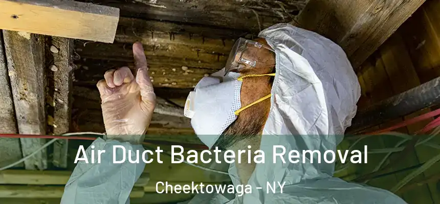 Air Duct Bacteria Removal Cheektowaga - NY