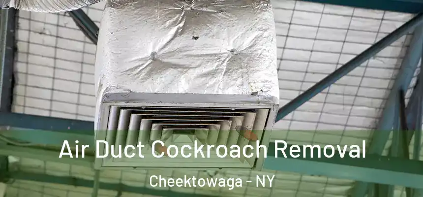  Air Duct Cockroach Removal Cheektowaga - NY