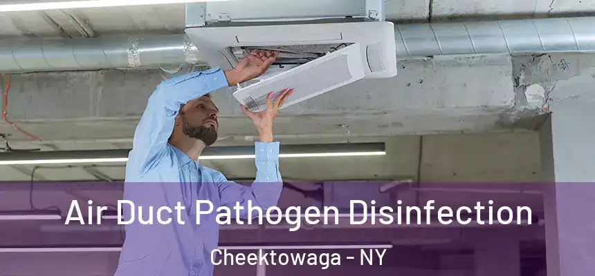 Air Duct Pathogen Disinfection Cheektowaga - NY