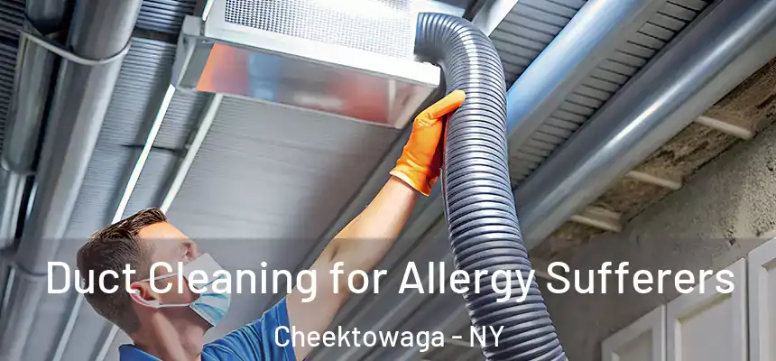  Duct Cleaning for Allergy Sufferers Cheektowaga - NY