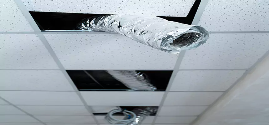 Affordable HVAC Sanitizing After Pest Removal in Cheektowaga