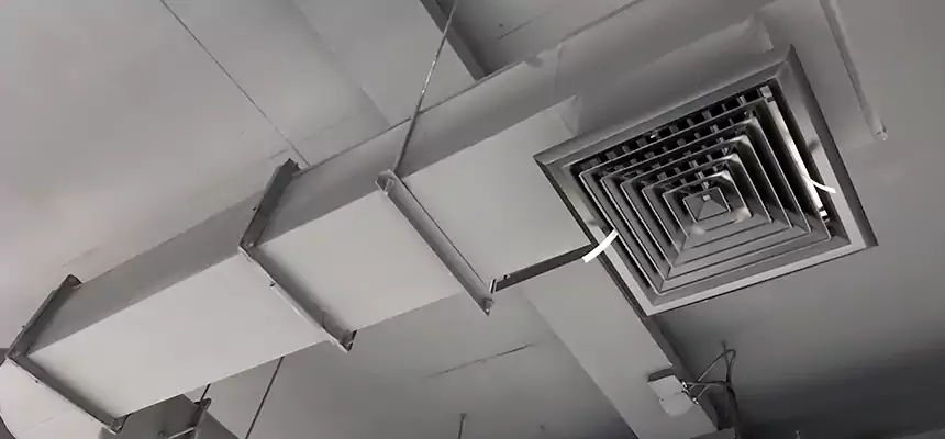 Our Pest Removal From Ducts Services in Cheektowaga, NY