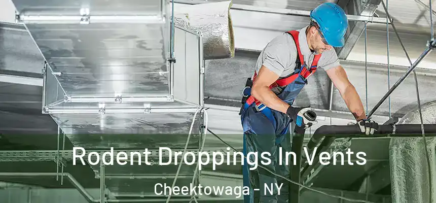 Rodent Droppings In Vents Cheektowaga - NY