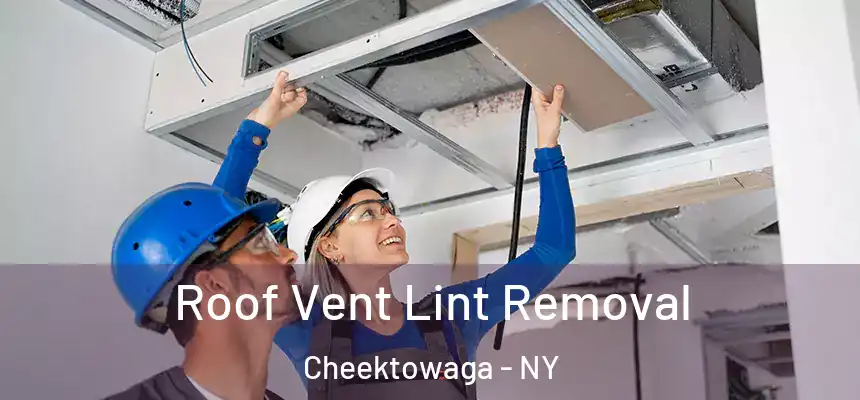 Roof Vent Lint Removal Cheektowaga - NY