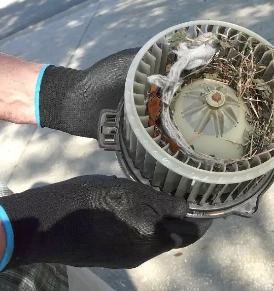 About Air Duct Rat Removal in Cheektowaga, NY