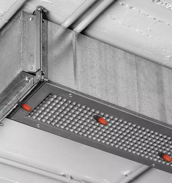 Affordable Insect Removal from Air Ducts in Cheektowaga, NY