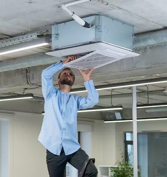 Advanced Rodent Droppings In Vents in Cheektowaga, NY