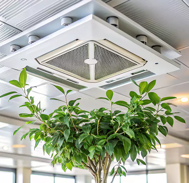 Why Homeowners & Businesses Trust Us in Cheektowaga, NY