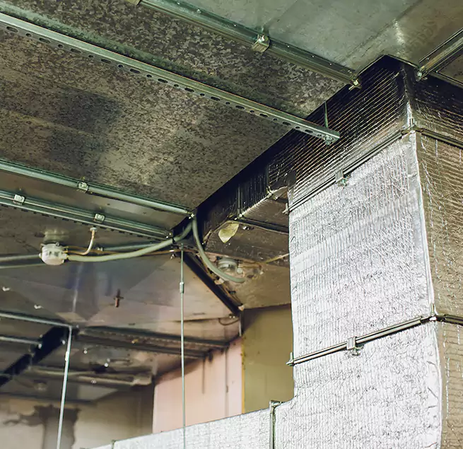 Why Homeowners & Businesses Trust Us in Cheektowaga, NY?